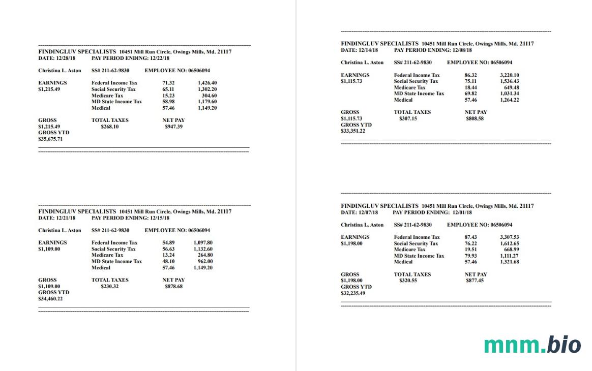 Findingluv specialits company pay stub w formacie PDF i Word